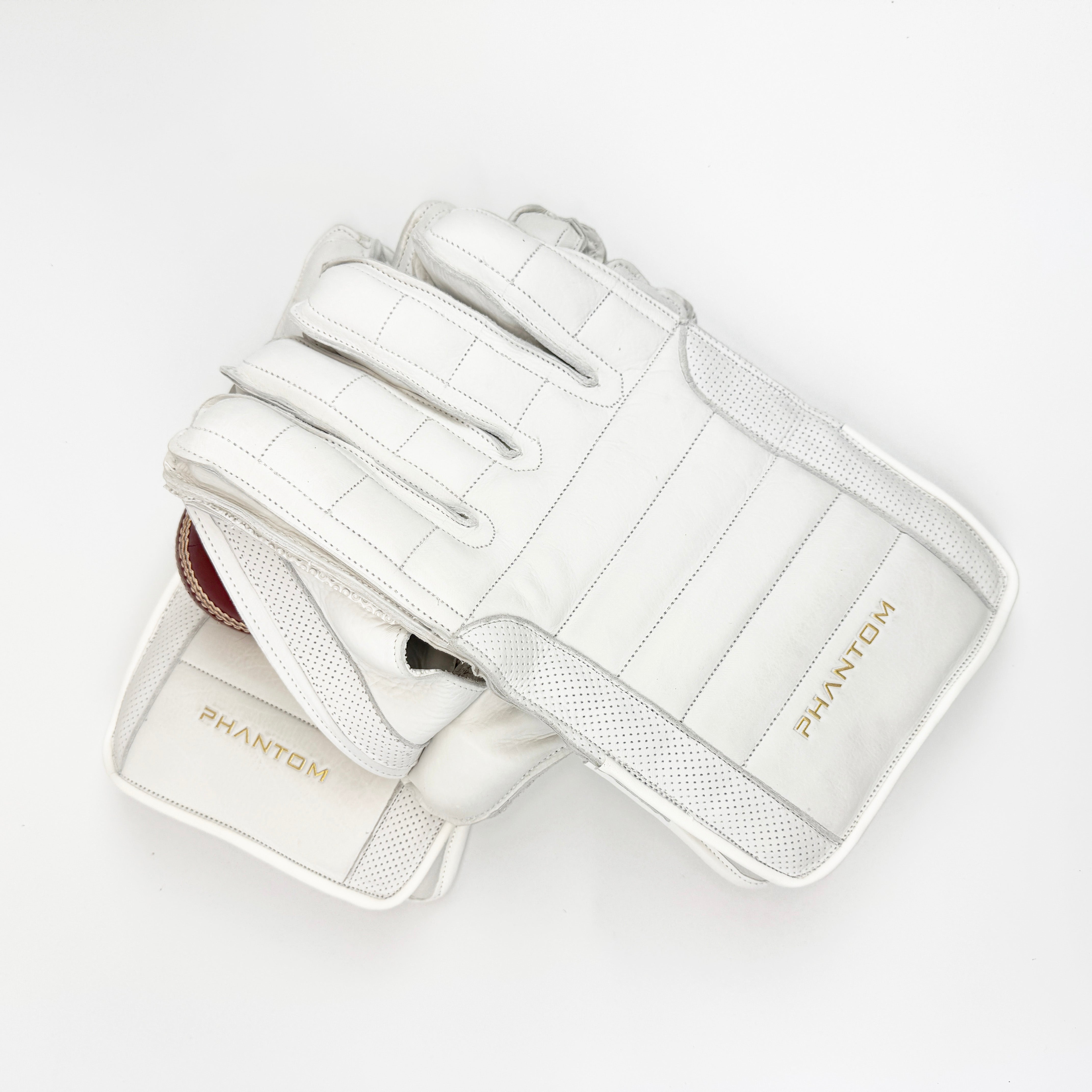 Limited WK Gloves