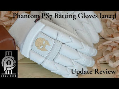 PS7 Batting Gloves